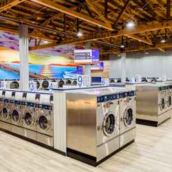 Thumbnail Olas Wondertribe 2019 008 OLS 8149